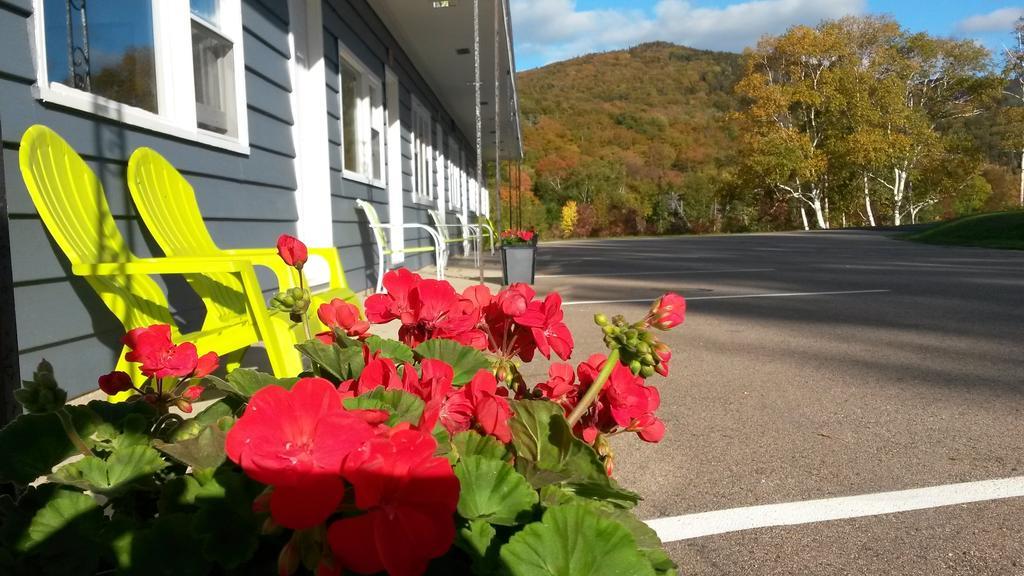 Cornerstone Motel Chéticamp Dış mekan fotoğraf